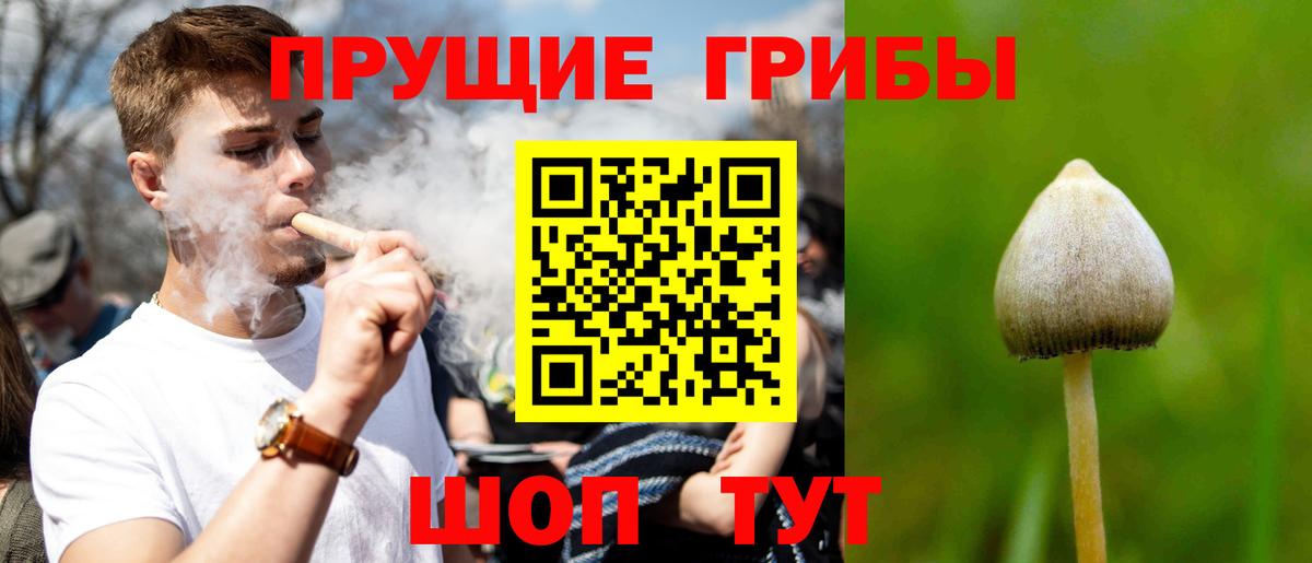 Псилоцибиновые грибы мицелий  Вход с VPN  Печора  Галлюциногенные грибы Cubensis 
