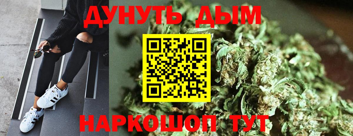 Каннабис индика Печора